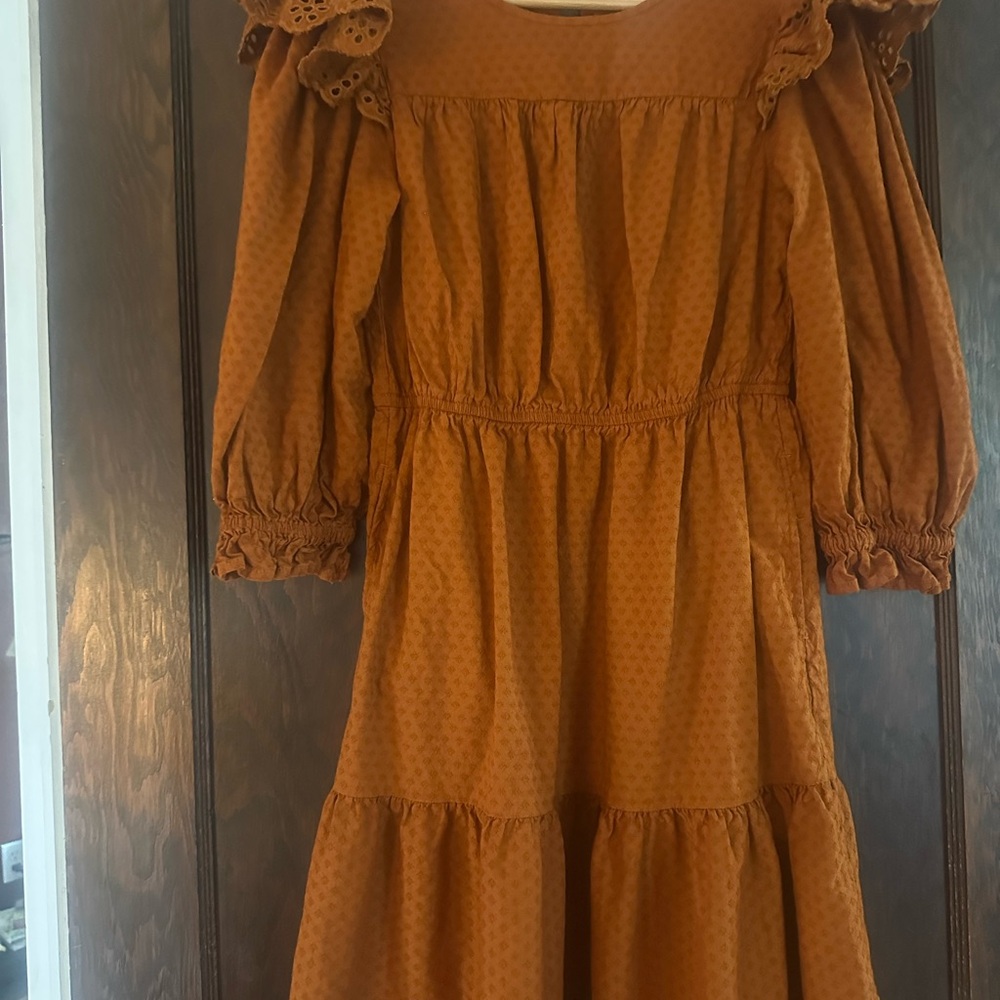 Universal Thread Dress in Burnt Orange